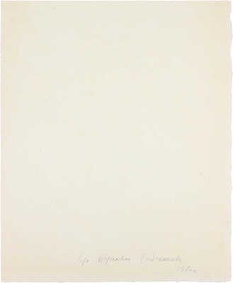 Рыбченкова Лора Борисовна. Нарциссы